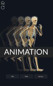 اسکرین شات 8 برنامه My Skeleton Anatomy