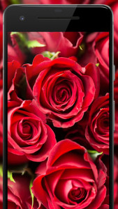 اسکرین شات 5 برنامه Cool 4k Wallpapers : WallFresh