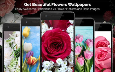 اسکرین شات 1 برنامه Cool 4k Wallpapers : WallFresh