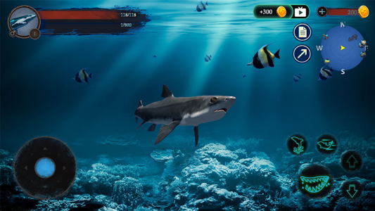 اسکرین شات 1 بازی The DogFish
