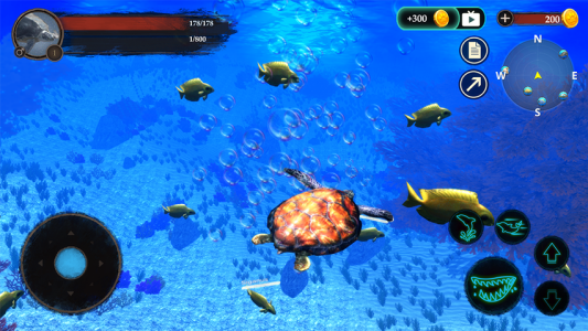 اسکرین شات 6 بازی The Turtle