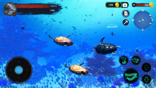 اسکرین شات 4 بازی The Turtle