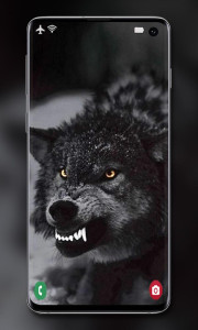 اسکرین شات 6 برنامه Wolf Wallpaper