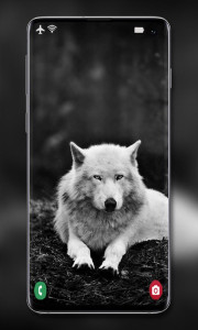 اسکرین شات 7 برنامه Wolf Wallpaper