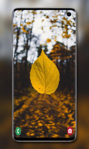 اسکرین شات 6 برنامه Yellow Wallpaper