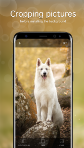 اسکرین شات 4 برنامه Dog Wallpapers & Puppy 4K