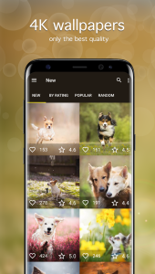 اسکرین شات 2 برنامه Dog Wallpapers & Puppy 4K