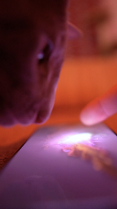 اسکرین شات 1 برنامه Fluid Simulation