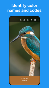 اسکرین شات 1 برنامه Color Picker: Find Name & Code