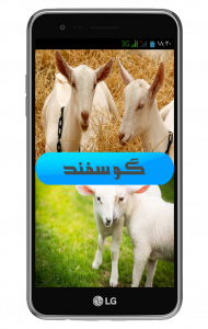 اسکرین شات 1 برنامه پرورش گوسفند