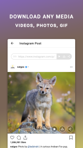 اسکرین شات 2 برنامه Friendly For Instagram