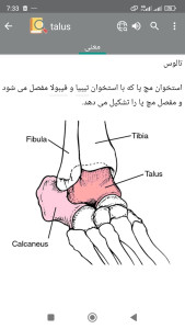 اسکرین شات 2 برنامه ‏‏دیکشنری آناتومی