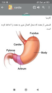 اسکرین شات 1 برنامه ‏‏دیکشنری آناتومی