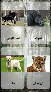 اسکرین شات 3 برنامه صدای حیوانات