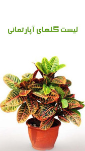 اسکرین شات 1 برنامه گلهای آپارتمانی (گلستان)