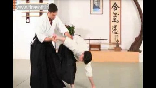 اسکرین شات 9 برنامه آموزش فنون آیکیدو