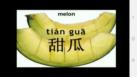 اسکرین شات 4 برنامه خودآموز زبان چینی