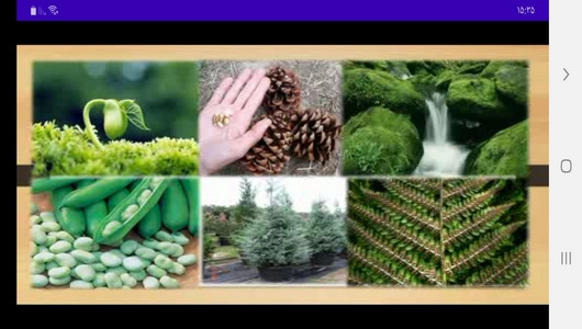 اسکرین شات 8 برنامه خودآموز علوم چهارم دبستان