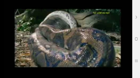 اسکرین شات 10 برنامه دانستنی هایی از موجودات خونسرد