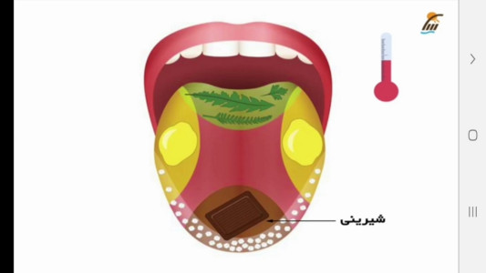 اسکرین شات 3 برنامه علوم تجربی پنجم دبستان-آموزش و آزمون