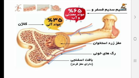 اسکرین شات 9 برنامه علوم تجربی پنجم دبستان-آموزش و آزمون