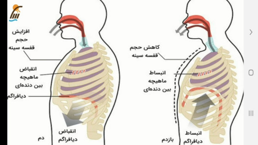 اسکرین شات 4 برنامه علوم تجربی پایه هفتم - آموزش و آزمون