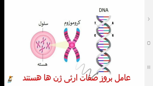 اسکرین شات 3 برنامه علوم تجربی پایه هشتم - آموزش و آزمون