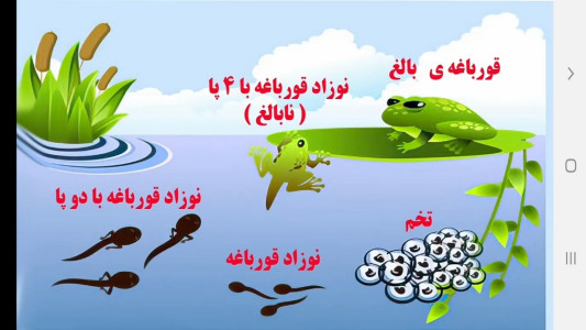 اسکرین شات 3 برنامه علوم تجربی پایه نهم - آموزش و آزمون