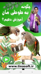اسکرین شات 1 برنامه چگونه به طوطی مان آموزش دهیم؟