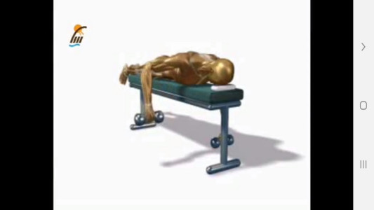 اسکرین شات 4 برنامه ‏تمرینات قدرتی و مقاومتی در بدن سازی