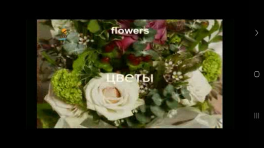 اسکرین شات 7 برنامه ‏یادگیری لغات زبان روسی با تصاویر