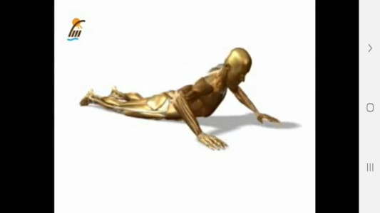 اسکرین شات 5 برنامه ‏تمرینات کششی مختلف عضلات بدن