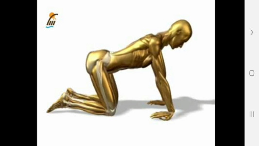 اسکرین شات 7 برنامه ‏تمرینات کششی مختلف عضلات بدن