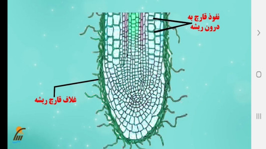 اسکرین شات 4 برنامه زیست شناسی (۱) - آموزش و آزمون