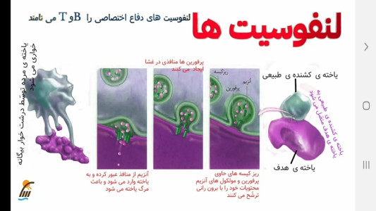 اسکرین شات 7 برنامه زیست شناسی (۲) - آموزش و آزمون