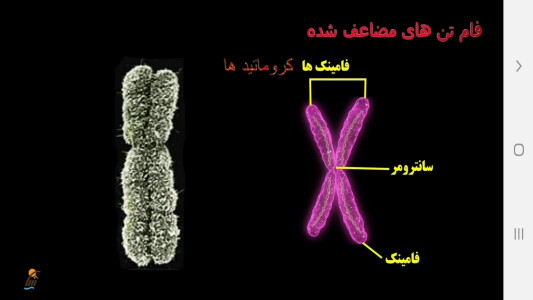 اسکرین شات 2 برنامه زیست شناسی (۲) - آموزش و آزمون