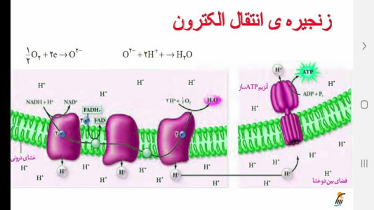 اسکرین شات 8 برنامه زیست شناسی (3) - آموزش و آزمون