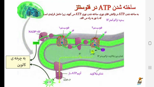اسکرین شات 9 برنامه زیست شناسی (3) - آموزش و آزمون