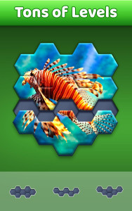 اسکرین شات 2 بازی Hexa Jigsaw Puzzle ®