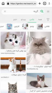 اسکرین شات 4 برنامه مرورگر گردو لایت | وبگردی بدون تبلیغ