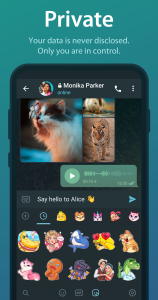 اسکرین شات 4 برنامه Telegram