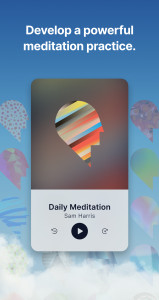 اسکرین شات 7 برنامه Waking Up: Meditation & Wisdom
