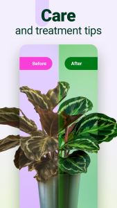 اسکرین شات 3 برنامه Plantum - Plant Identifier App