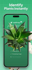 اسکرین شات 1 برنامه Plant Identifier: LeafSnap