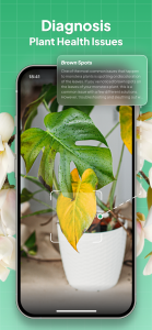 اسکرین شات 3 برنامه Plant Identifier: LeafSnap