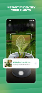 اسکرین شات 2 برنامه Plant Identifier: LeafSnap