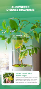 اسکرین شات 3 برنامه Plant Identifier: LeafSnap