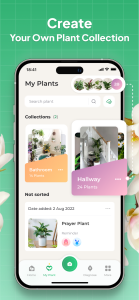اسکرین شات 2 برنامه Plant Identifier: LeafSnap