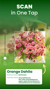 اسکرین شات 5 برنامه Florify: AI Plant Identifier