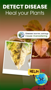 اسکرین شات 3 برنامه Florify: AI Plant Identifier